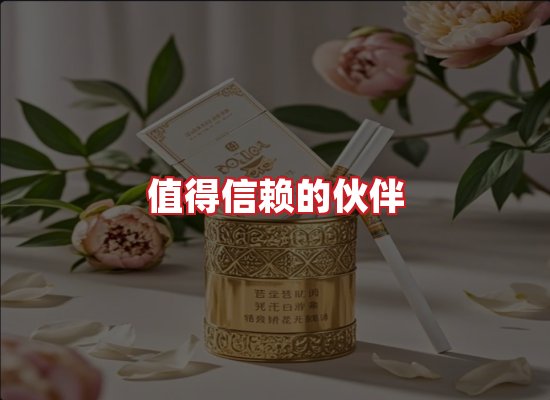 专业团队